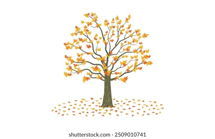 autumn tree, maple tree with yellow and orange leaf color. vector illustration isolated on white background.