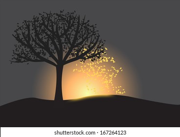 Autumn tree on a background of a sunset