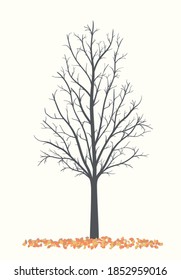 Autumn tree on a light background without leaves