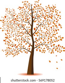 Autumn Tree on white background. Vector
