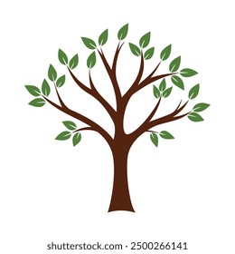 Árbol con hojas, árbol, naturaleza, Vector, rama, ilustración, hoja, silueta, planta, diseño, arte, primavera, estación