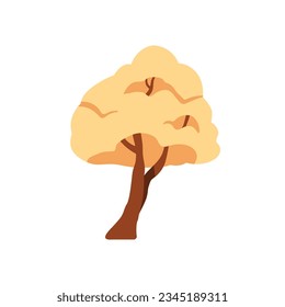 Herbstbaumpflanze mit Blattkrone. Der Wald fällt stark mit Stamm, Stamm, üppigen Blättern. Abstrakte botanische Clipkunst. Flache Cartoon, Vektorgrafik einzeln auf weißem Hintergrund