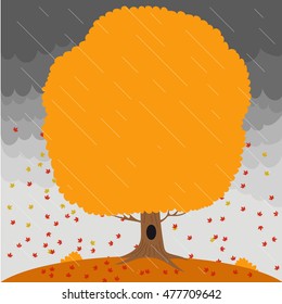 Autumn tree in the rain and falling leaves on the background a stormy sky