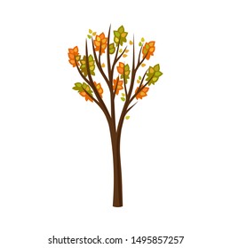 Autumn tree with rare leaves. Vector illustration on a white background.