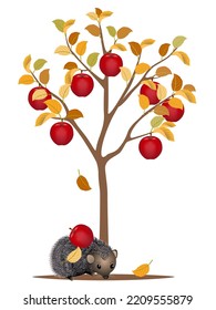 Árbol de otoño con manzanas rojas y erizo sobre un fondo blanco.