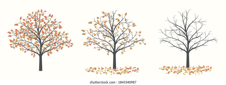 2,993 Fruit tree without leaves Images, Stock Photos & Vectors ...