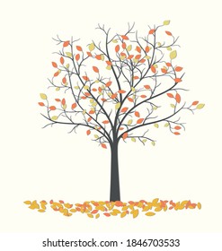 Árbol de otoño con hojas caídas rojas y amarillas sobre un fondo claro