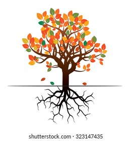 Autumn Tree and Roots. Vector Illustration.