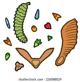 autumn tree seeds - vector elements for design