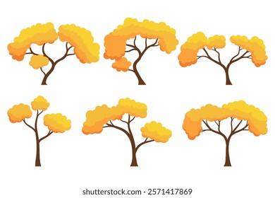 Autumn tree set. Collection of tree isolated on a white background. Each species of trees. A tree with orange leaves. Nature or healthy lifestyle topics. Vector illustration flat design style