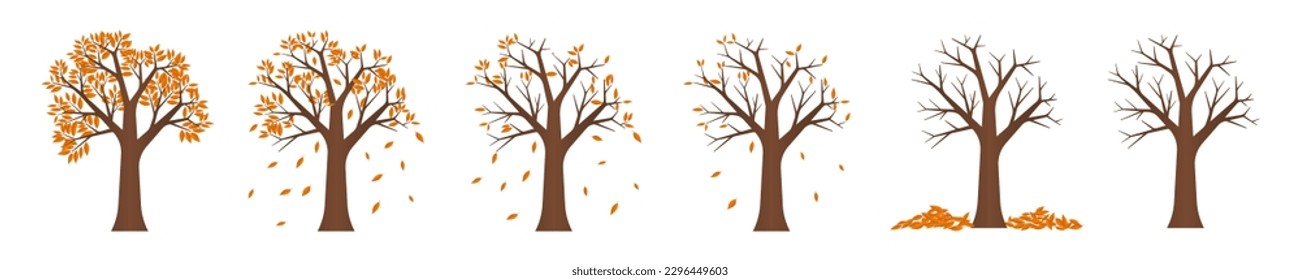 Autumn Tree Set With Fallen Leaves. Vector Illustration Isolated on White Background. 