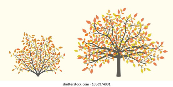 Autumn tree and shrub with yellow and red leaves