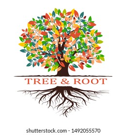 Autumn tree silhouette. Isolated on white background. Vector illustration. Tree with roots. Isolated on white background.