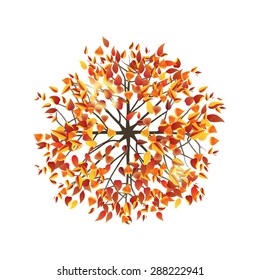 Autumn tree top view. Easy to use in your landscape design projects