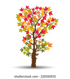 autumn tree vector