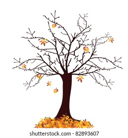 autumn tree - vector