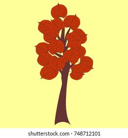 Autumn tree. Vector graphic illustration.