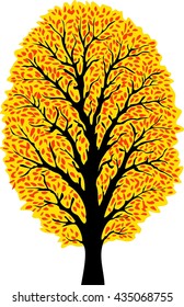 Autumn tree vector illustration