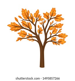 Autumn tree. Vector illustration on a white background.