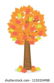Autumn Tree. Vector illustration of yellow red coloured leaves.