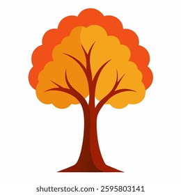 autumn tree vector in white background 