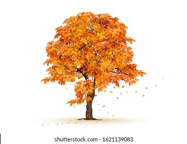 Autumn Drawing Tree Stock Illustrations – 74,019 Autumn Drawing Tree Stock  Illustrations, Vectors & Clipart - Dreamstime
