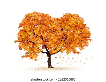 Autumn tree vector.Realistic  Trees Isolated on White Background.