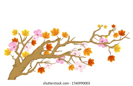 autumn tree with white background. illustration vector