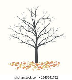 Autumn tree without leaves on a light background