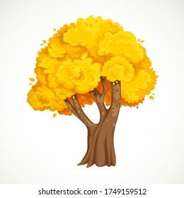 Autumn tree with yellow foliage vector drawing isolated on white background