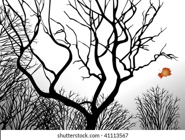 Autumn trees