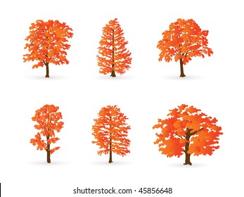autumn trees