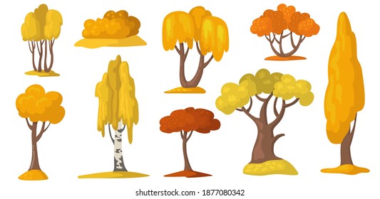 Autumn trees and bush with yellow and orange foliage.