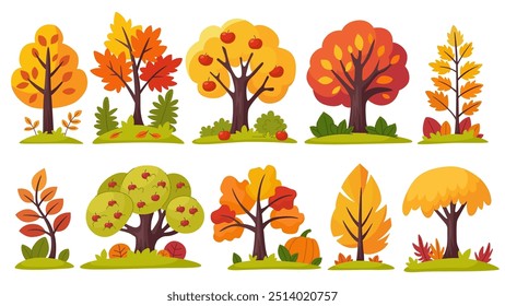 Autumn trees and bushes collection. Forest and park trees and plants on white background.