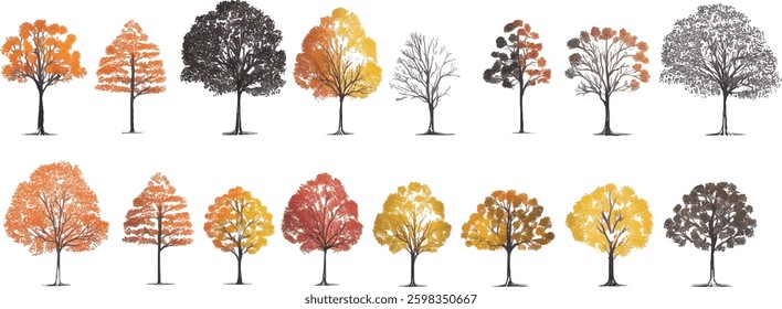 Autumn Trees Collection, Vector Illustration Isolated on White Background.