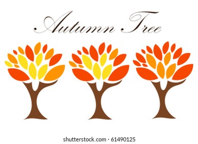 Autumn trees with colorful leaves. Three stages