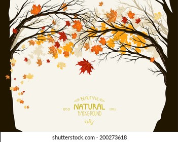 Autumn trees with deciduous leaves. Frame with space for text