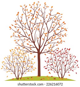 Autumn trees. Fall of the leaves. Isolated on white background. Vector illustration.