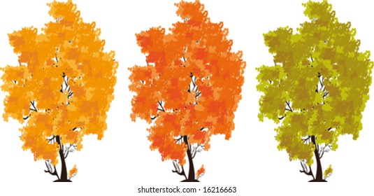 Autumn trees with foliage of different color on a white background