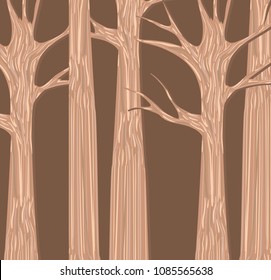 autumn trees forest background