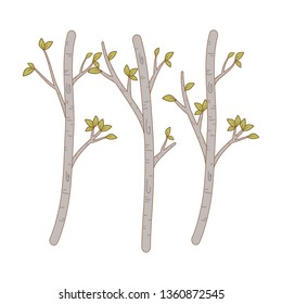 autumn trees forest scene