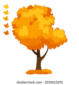 Autumn Trees, Isolated On White Background. Simple collection of autumn trees of different shapes. Vector illustration 