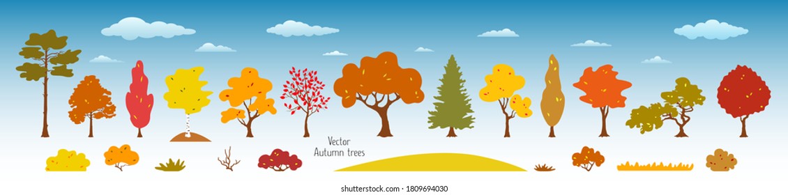 Autumn trees, leaves, bushes, grass, clouds. Set of bright plants. Vector elements for flat, modern design. Natural  landscape for seasonal background, banner, poster, greeting card. Nature 