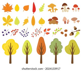 Autumn trees, leaves, mushrooms, berries isolated on a white background. Collection of autumn elements. Forest gold and green branches, autumn yellow and orange park trees. Set of autumn plants.