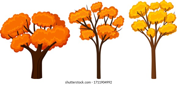 Autumn Trees with Lush Foliage Isolated on White Background Vector Set