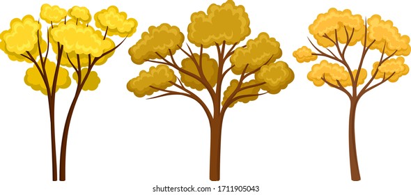 Autumn Trees with Lush Foliage Isolated on White Background Vector Set