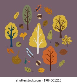 Autumn trees set with leaves and nuts vector. Vector illustration