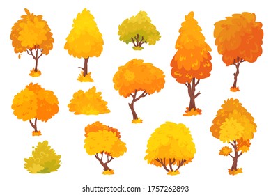 Autumn trees, shrubs, bushes with crown of different shapes cartoon set. Plants with colorful foliage in fall season for city park, garden, forest. Vector autumn trees isolated on white background.