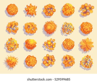 Autumn trees. Top view.
Various trees and plants for landscaping and maps. View from above.