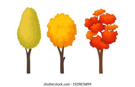 Autumn Trees with Trunk and Bright Foliage Vector Set